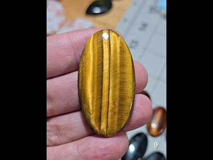 #9 Classic Golden Tiger Eye