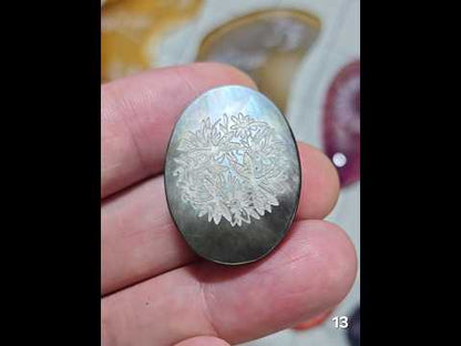 #13 Black Lip Mother of Pearl