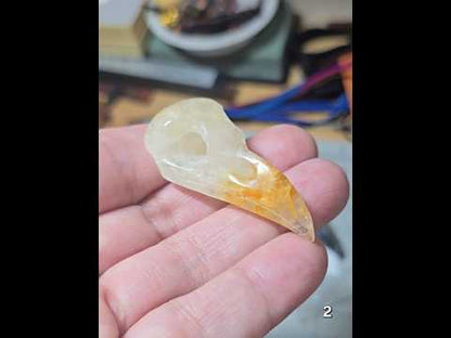 #2 Golden Healer Raven Skull