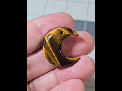Tiger Eye Carved Moon Bead