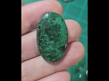 #2 Velvet Malachite