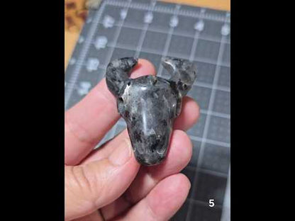 #5 Larvikite Buffalo Skull