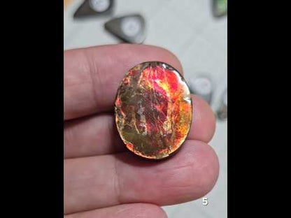 #5 Ammolite 6.2g