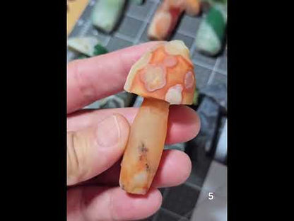 #5 Gobi Agate Mushroom