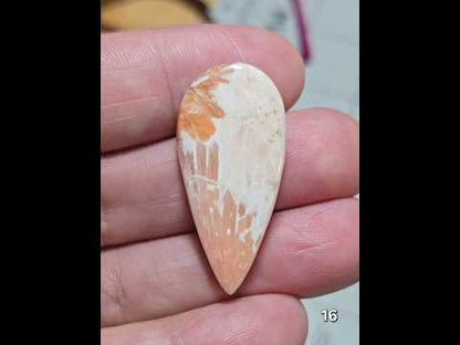 #16 Scolecite with Peach Stilbite