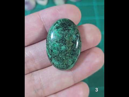 #3 Velvet Malachite