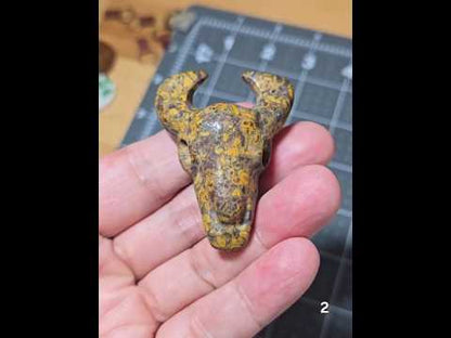 #2 Fruit Jasper Buffalo Skull