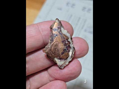 #3 Copper Dolomite Slice