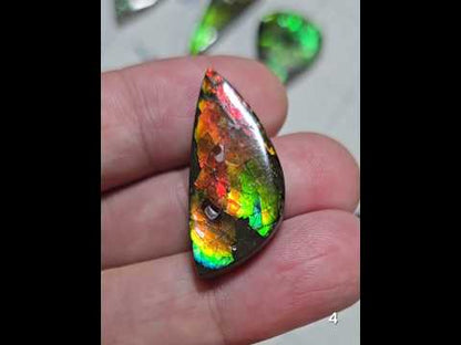 #4 Ammolite 6.3g