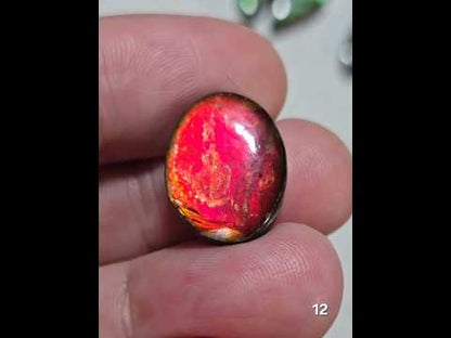 #12 Ammolite 2.7g