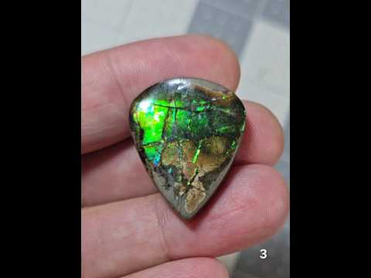 #3 Ammolite 6.96g