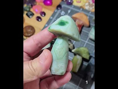 #1 Gobi Agate Mushroom