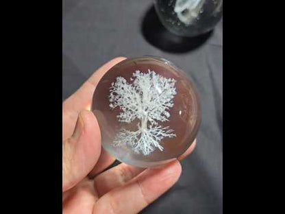 Tree of Life Glass Sphere Inner Carving