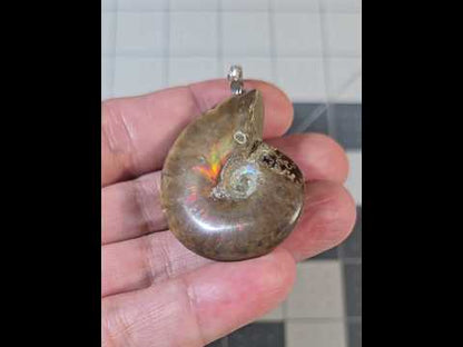 Iridescent Ammonite Fossil Pendant