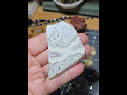 #8 Crazy Lace Agate Slice