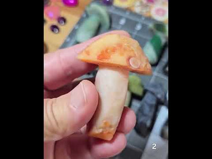 #2 Gobi Agate Mushroom