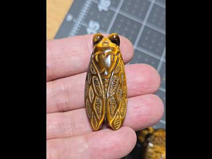 Cicada Tiger Eye Carving