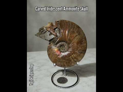 4.5" Carved Iridescent Ammonite Skull Display Specimen