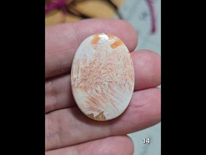 #14 Scolecite with Peach Stilbite