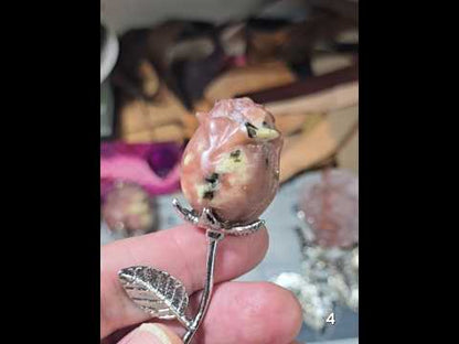 #4 Peach Blossom Jasper Rose