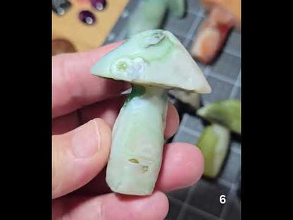 #6 Gobi Agate Mushroom