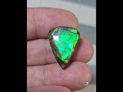 #7 Ammolite 4.2g