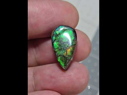 #9 Ammolite 2.6g
