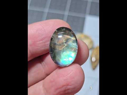 #3 Abalone Doublet