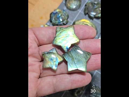 #30 Carved Star Labradorite Cabochons (lot)