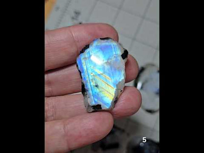 #5 Rainbow Moonstone Slice w/Black Tourmaline