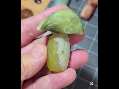 #8 Gobi Agate Mushroom