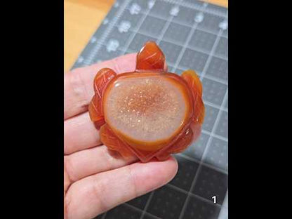 #1 Carnelian Druzy Sea Turtle