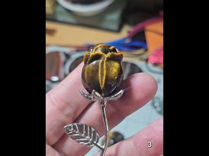 #3 Tiger Eye Rose w/Stem