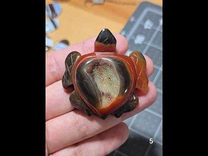 #5 Carnelian Druzy Sea Turtle