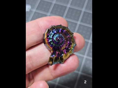 #2 Aura Coated Ammonite Fossil