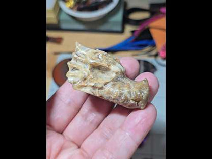Amber Cherry Blossom Agate Dragon Head Carving