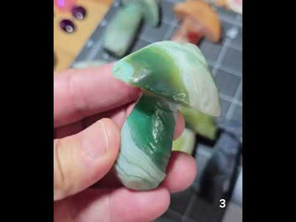 #3 Gobi Agate Mushroom