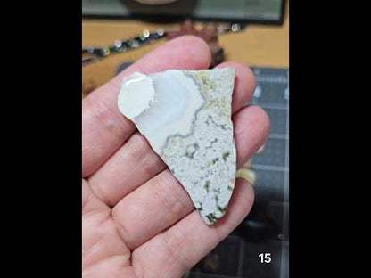 #15 Crazy Lace Agate Slice