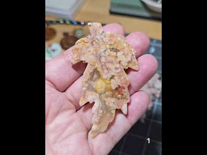 #1 Flower Agate Carved Leaf
