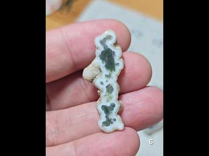 #6 Moss Agate Stalactite Slice