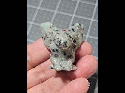 #2 Kiwi Jasper Gargoyle