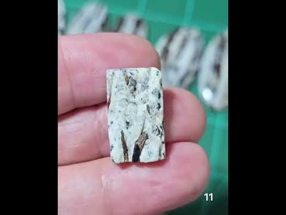 #11 Astrophyllite Druzy