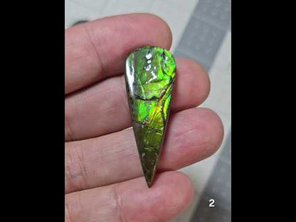 #2 Ammolite 6.1g