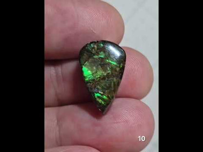 #10 Ammolite 3.1g