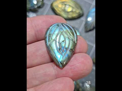 #18 Carved Leaf Labradorite Cabochon