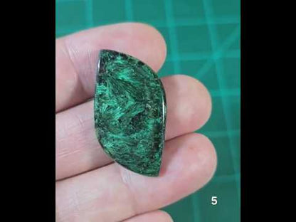 #5 Velvet Malachite