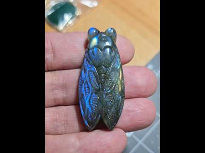 Cicada Rainbow Labradorite Carving