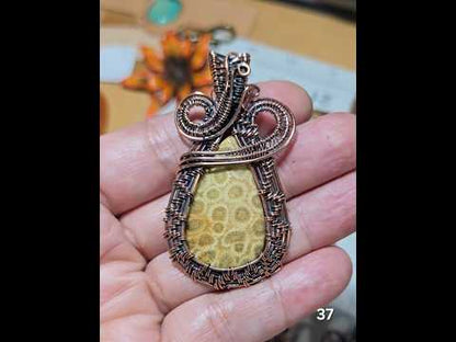 #37 Fossil Coral Wire-wrapped Pendant