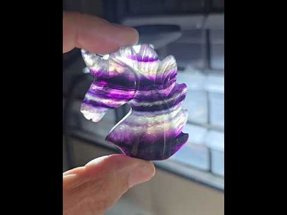 Rainbow Fluorite Unicorn