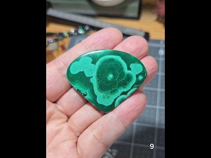 #9 Collector-Grade Classic Malachite Cabochon